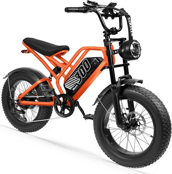 ESKUTE V300 20" Fat Tire Electric Bike